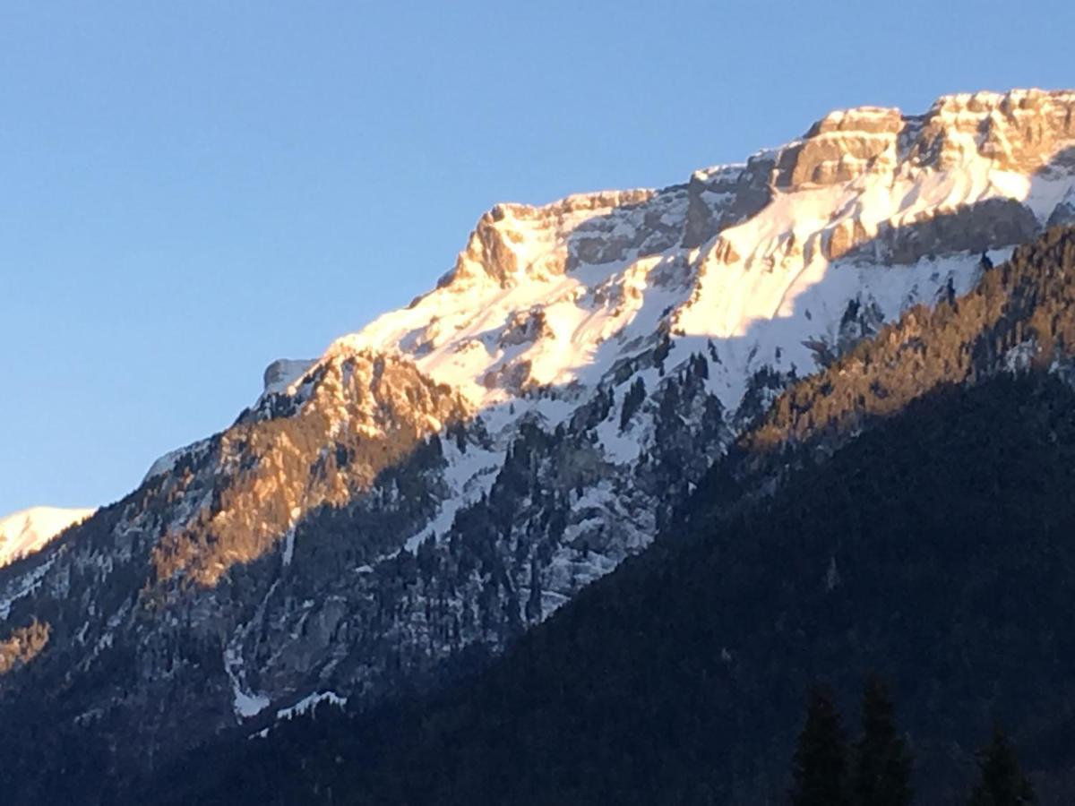 Ferienwohnung Interlaken/Wilderswil Exteriör bild